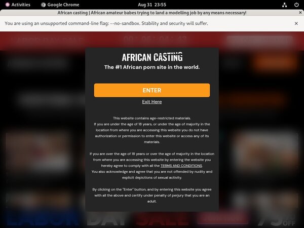 African Casting Free Sex