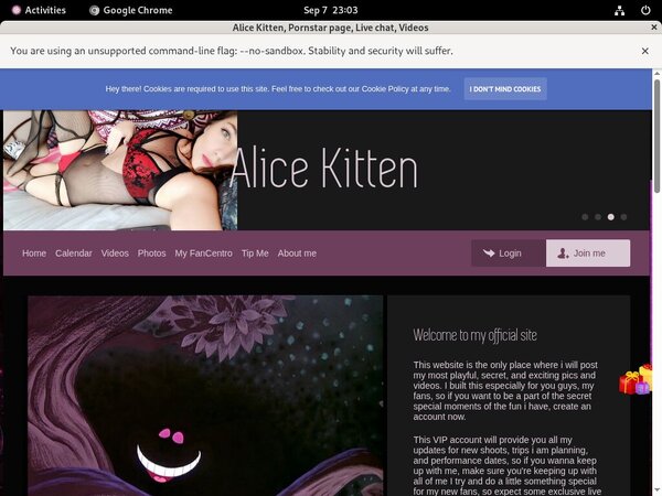 Alice Kitten Password Login
