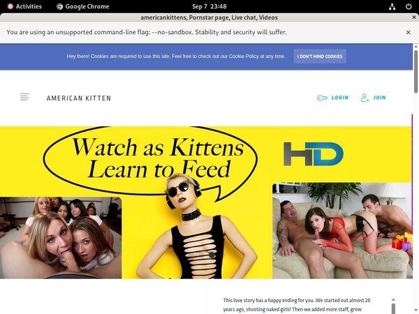 Americankittens Passes