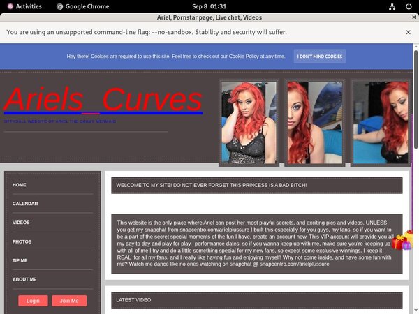 Ariel Review Site