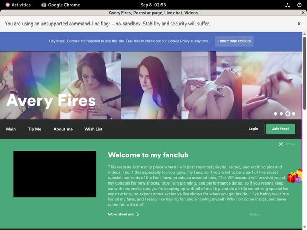 Avery Fires Accounts Free
