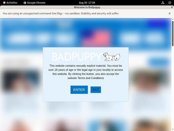 Badpuppy Join By EU Debit