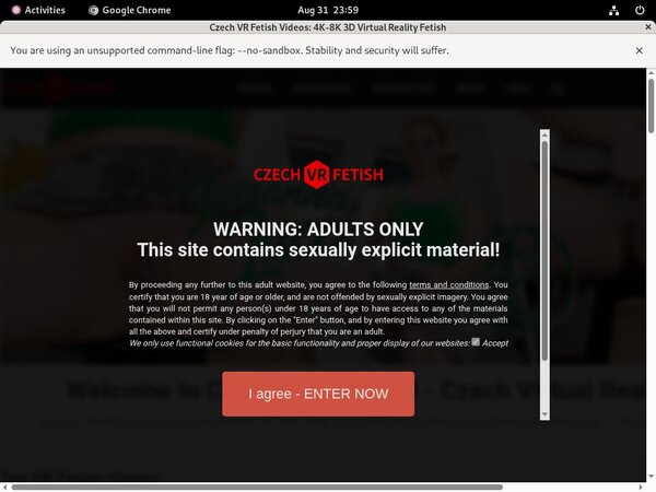 Czech VR Fetish Cam