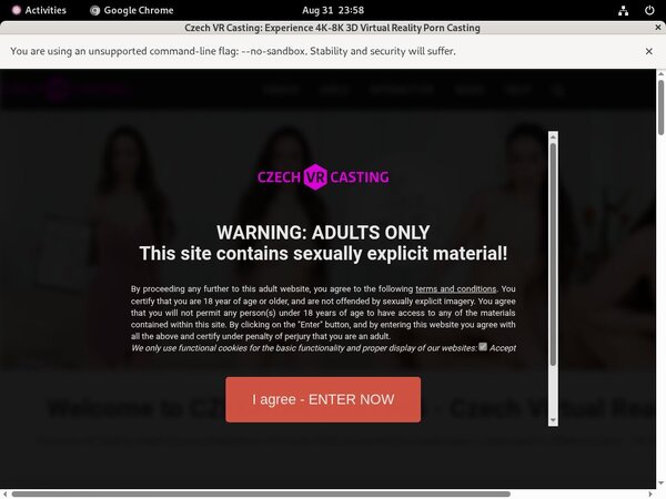 Czechvrcasting Discount Accounts