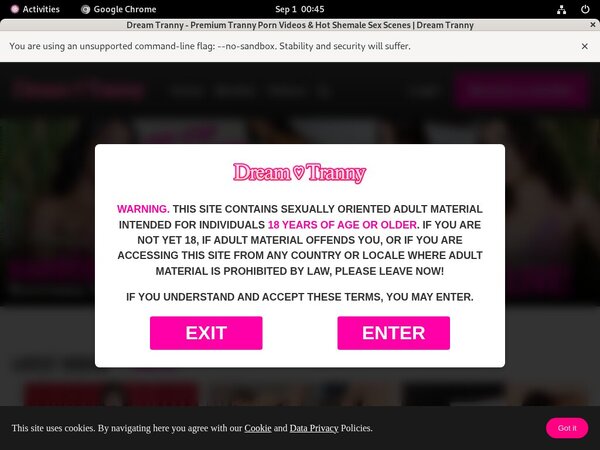 Dream Tranny Free Download