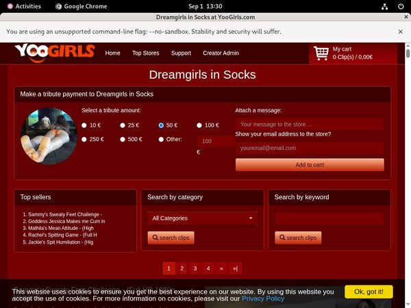 Dreamgirls In Socks Net