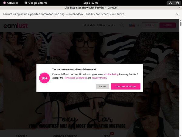 FoxyStar Pay Pal Account