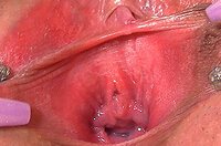Free Acc For Gapemypussy.com s5