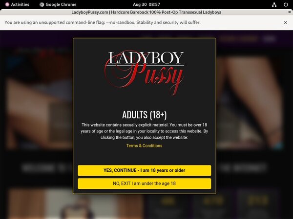 Free Ladyboypussy Premium Accounts