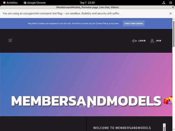 Free MembersandModels Premium Login