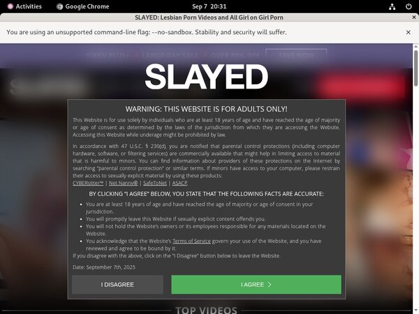 Free Slayed Accounts Premium
