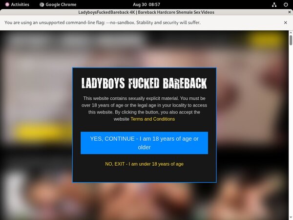 Free Trial Ladyboys Fucked Bareback Discount