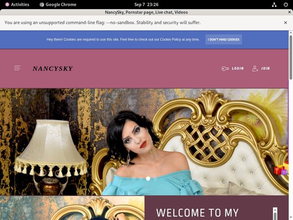 Free Working NancySky Logins