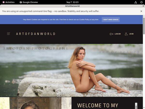 Get Artofdan Discount