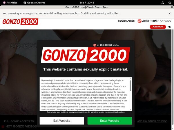 Gonzo 2000 Girls