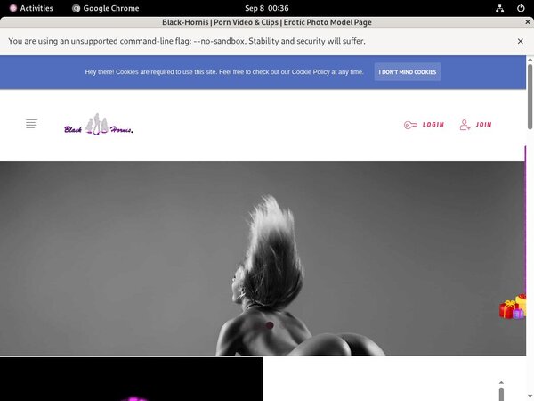 How To Get Black-hornis.net For Free
