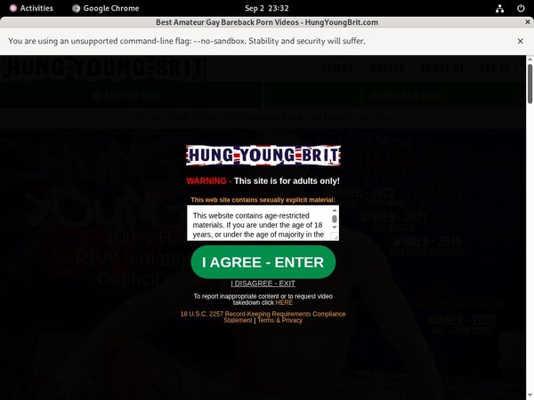 Hung Young Brit Scene