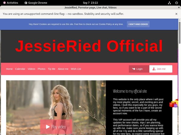JessieRied Passwords 2017