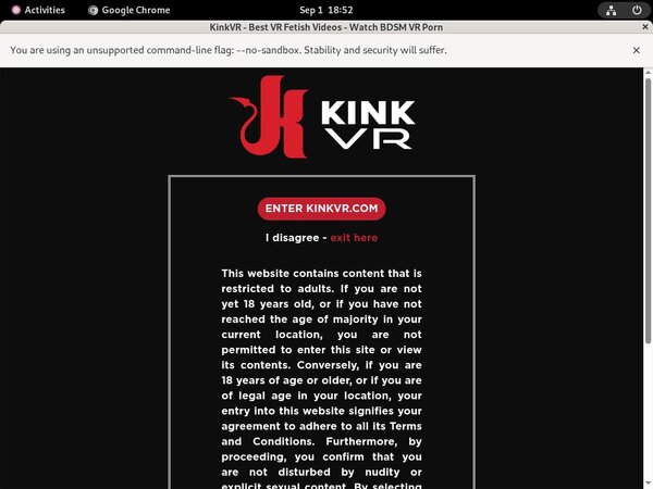 Kink VR Blog
