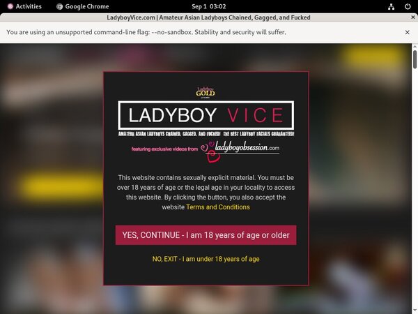 Ladyboyvice Vendo