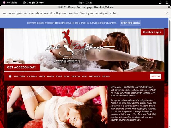 LittleRedBunny Promo