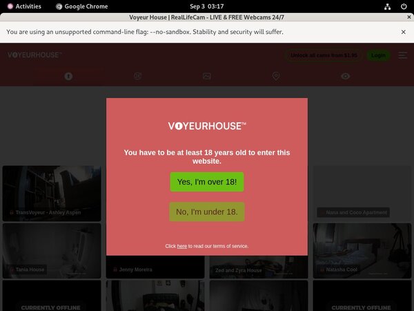 Log In Voyeurhouse