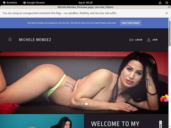 Michele Mendez Hack