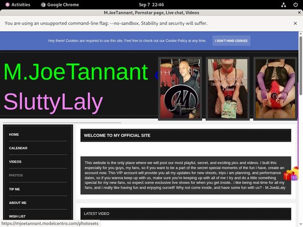 Mjoetannant.modelcentro.com Limited Sale