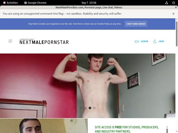 NextMalePornStarcom Mobile Porn