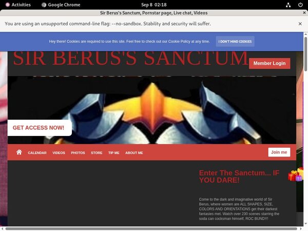Passwords To SirBerus'sSanctum
