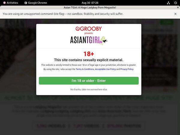 Premium Ladyboyladyboy Site Rip