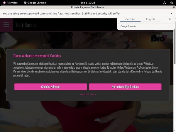 Sari-sander.com Pussy