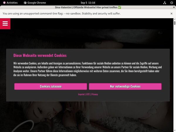 Sina Valentini Free Username
