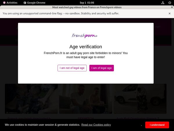 Site Rip Gay Porn French