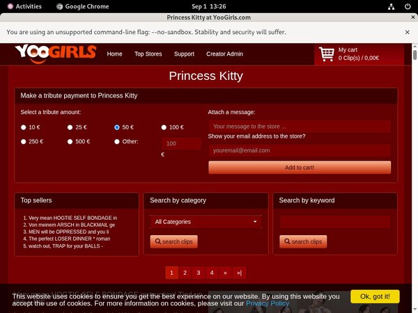 Special Princess Kitty Discount