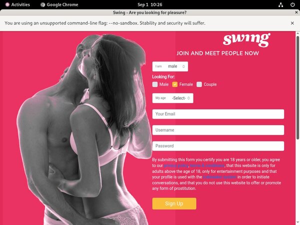 Swing.net Login Free