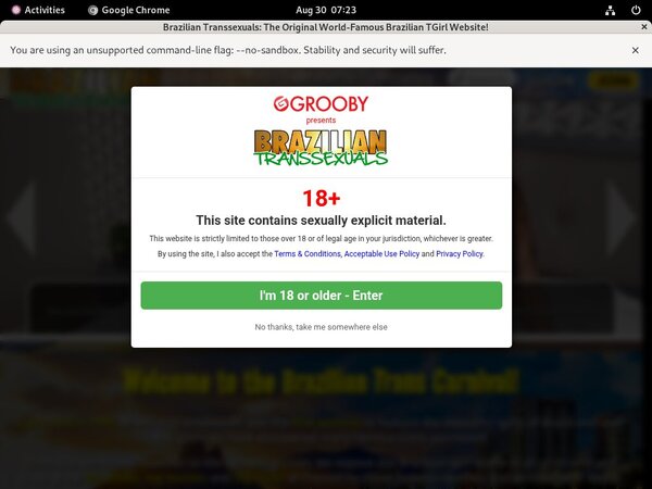 Try Brazilian Transsexuals Discount
