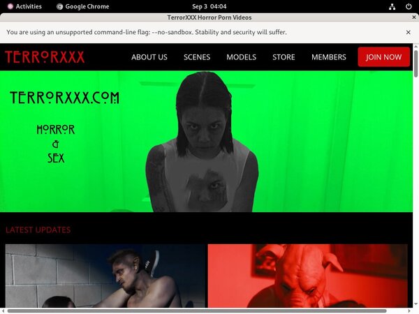 What Is TerrorXXX