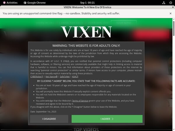 Vixen With Credit Card