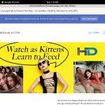Americankittens Passes