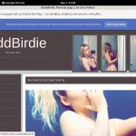 BaddBirdie Best Payporn