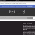 FoxxyRoxii Discount Prices