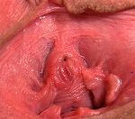 Gape My Pussy Password Torrent
